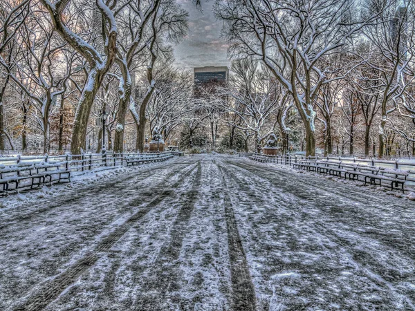 Central Park New York City Mall Após Tempestade Neve Leve — Fotografia de Stock