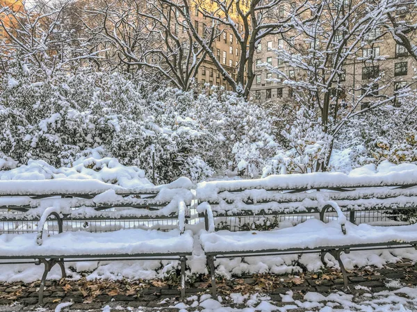 Central Park New York City Nach Winterschneesturm — Stockfoto