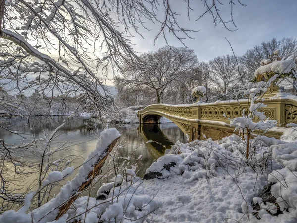 Bow Bridge Puente Hierro Fundido Situado Central Park Nueva York —  Fotos de Stock