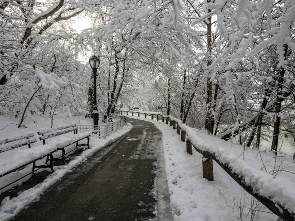 Центральный Парк Нью Йорка После Зимней Снежной Бури — стоковое фото