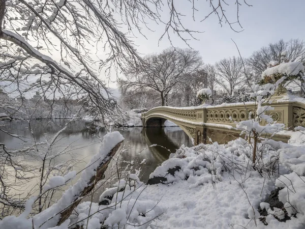 Bow Bridge Ett Gjutjärn Central Park New York City Passerar — Stockfoto