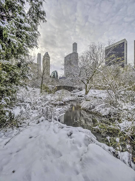 Gapstow Köprüsü Central Park New York City Deki Manhattan Simgeler — Stok fotoğraf