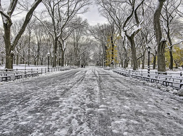 Central Park New York City Mall Após Tempestade Neve Leve — Fotografia de Stock