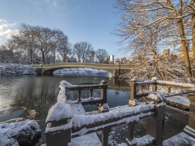 Central Park, New York City, öbür tarafa The Lake bulunan bir dökme demir köprü yay köprüdür 