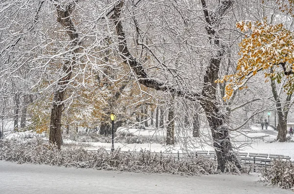 Central Park Nueva York Durante Una Tormenta Nieve Madrugada — Foto de Stock