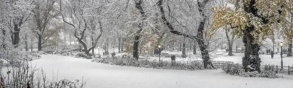 Central Park Nova York Durante Uma Tempestade Neve Início Manhã — Fotografia de Stock