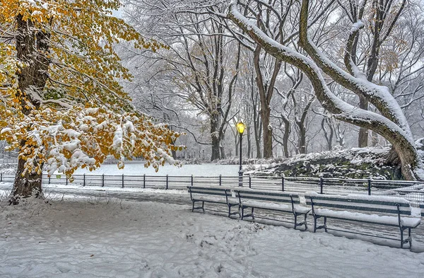 Central Park New York Lors Une Tempête Neige Tôt Matin — Photo