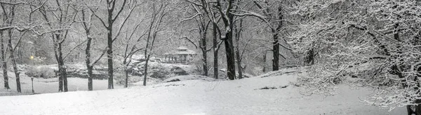 Central Park New York City Timpul Unei Furtuni Zăpadă Dimineața — Fotografie, imagine de stoc