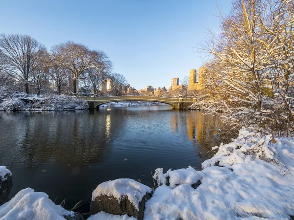 Die Bugbrücke Ist Eine Gusseiserne Brücke Central Park New York — Stockfoto