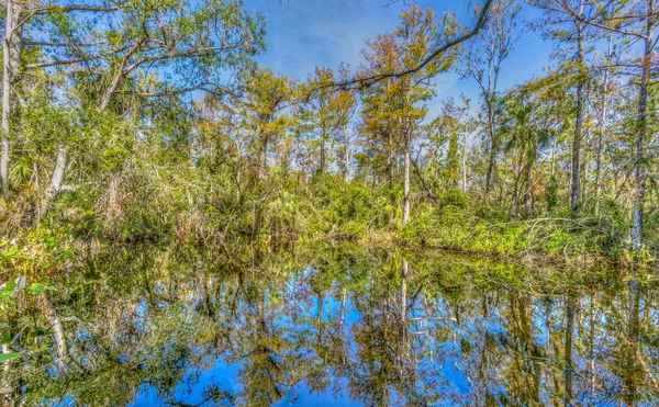 Parc National Des Everglades Janvier Floride Par Beau Temps — Photo