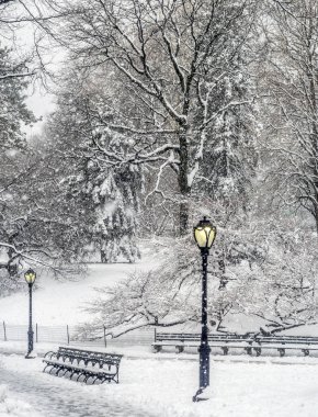 Central park, new york şehir sonra kar fırtınası