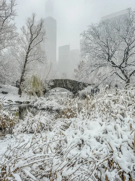 Central Park New York City Gapstow Mostě Sněhové Bouři — Stock fotografie