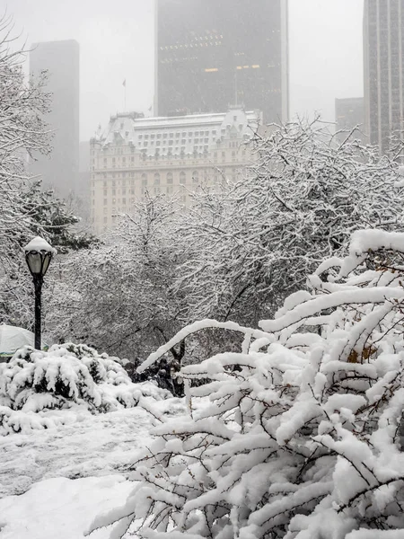 中央公园 纽约市在 Gapstow 大桥后的暴风雪 — 图库照片