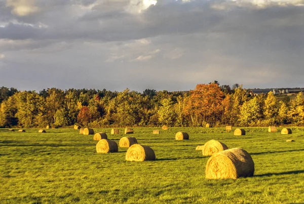 Ferme Lancaster Pennsylvanie Avec Ciel Nuageux — Photo