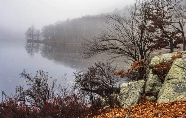Парк Штата Харриман Штат Нью Йорк Холодный Туманный Зимний День — стоковое фото
