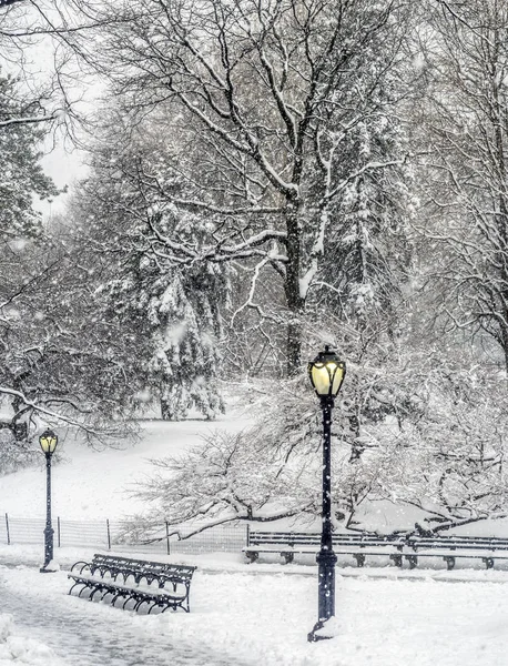 Central Park Nowy Jork Burzy Śnieżnej — Zdjęcie stockowe