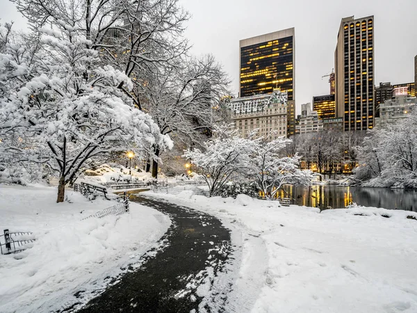 Central Park New York City Efter Snöstorm — Stockfoto