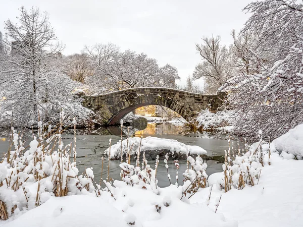 Central Park New York City Gapstow Hídnál Hóval Vihar Után — Stock Fotó