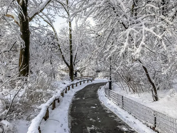 Central Park Nova York Após Grande Tempestade Neve Inverno — Fotografia de Stock