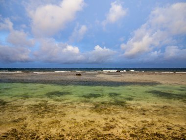 Kıyı şeridi ve ada Roatan Bay Islands Honduras kumsalda