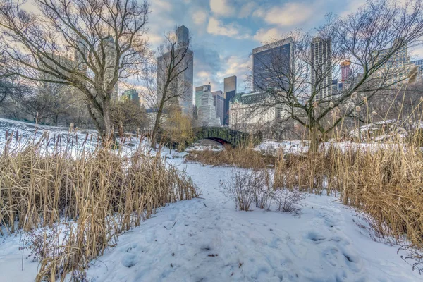 Gapstow Köprüsü Central Park New York City Deki Manhattan Simgeler — Stok fotoğraf