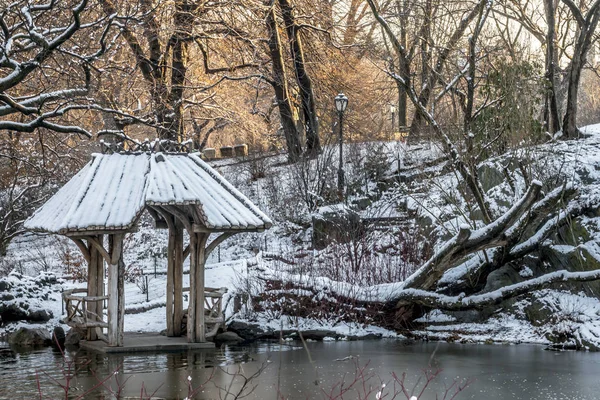 Wagner Bucht Central Park See — Stockfoto