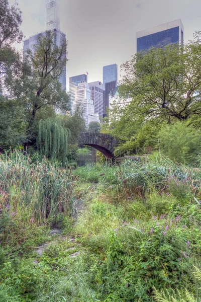 Мост Гапстоу Одна Главных Достопримечательностей Центрального Парка Манхэттене Нью Йорке — стоковое фото