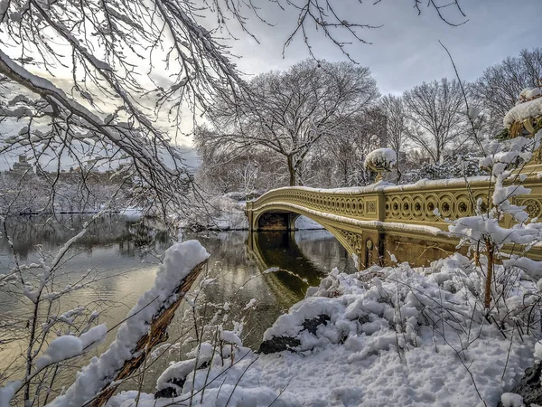 弓桥是铸铁位于纽约中央公园 跨越湖 — 图库照片