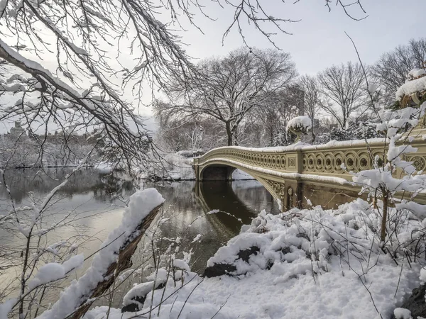 Central Park, New York City, öbür tarafa The Lake bulunan bir dökme demir köprü yay köprüdür 