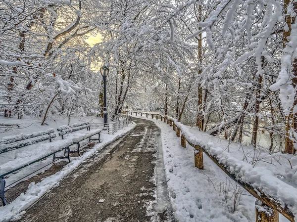 Central Park New York Pendant Une Tempête Neige — Photo