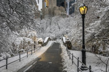 gapstow Köprüsü, central park, new york City'deki manhattan simgeler biridir