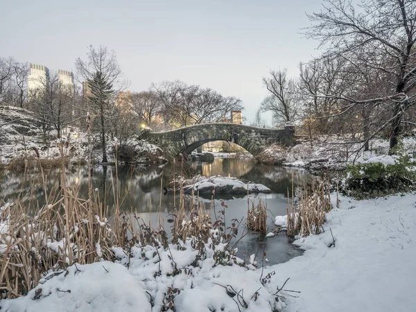 Gapstow Bridge Ikonerna För Central Park Manhattan New York City — Stockfoto