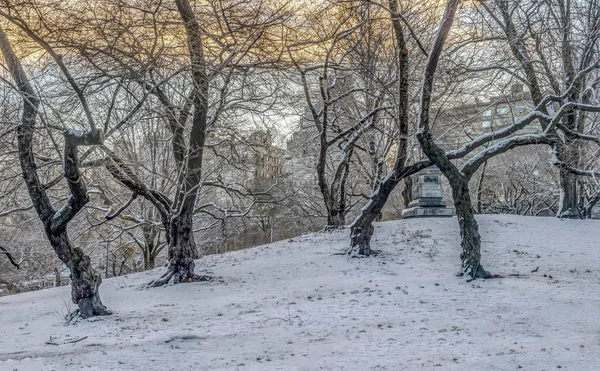 Central Park Nova York Depois Neve Stown Início Manhã — Fotografia de Stock
