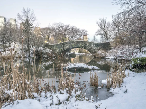 Gapstow Most Jest Jedną Ikon Manhattanu Nowym Jorku Central Park — Zdjęcie stockowe