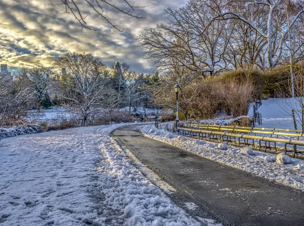 Central Park Nova York Depois Neve Stown Início Manhã — Fotografia de Stock