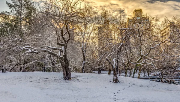Central Park Nova York Depois Neve Stown Início Manhã — Fotografia de Stock