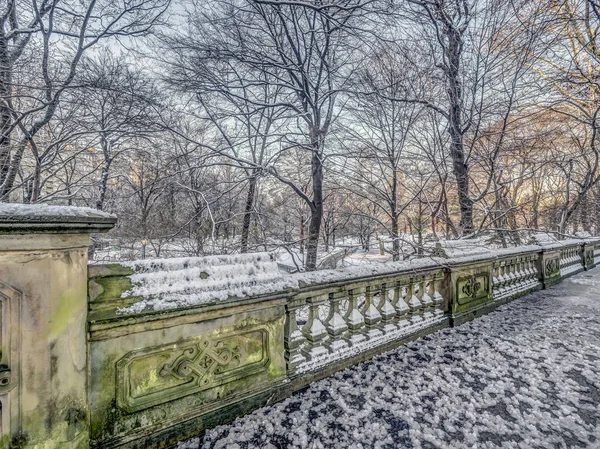 Central Park New Yorku Sněhu Stown Ránu — Stock fotografie