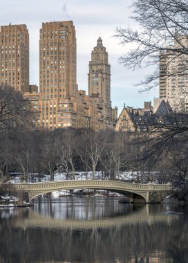 New York City, Central Park Manhattan yay Köprüsü