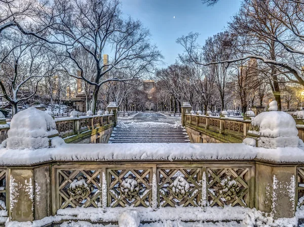 Central Park Mall Walkway Middle — Stock Photo, Image