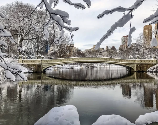 Puente Proa Nueva York Central Park Manhattan — Foto de Stock