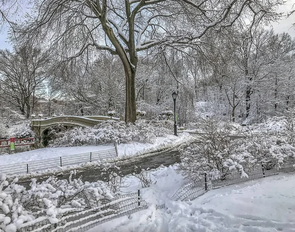 Bow Bridge New York Central Park Manhattan — Photo