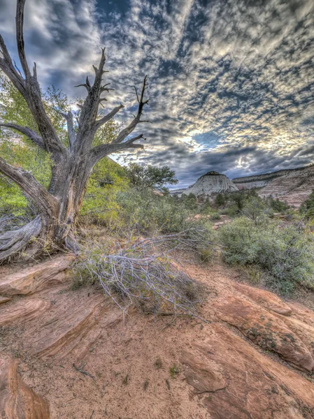 Zion National Park American National Park Located Southwestern Utah City — Stock Photo, Image