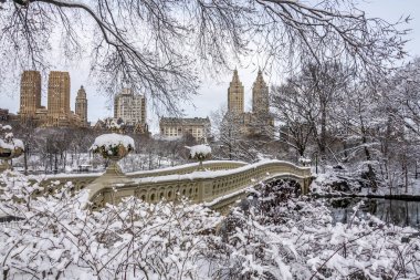 Central Park, Manhattan, New York City kış kar fırtınası sonra yay köprüsünde