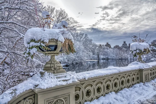 Central Park Manhattan New York City Vintern Den Båge Bridhe — Stockfoto