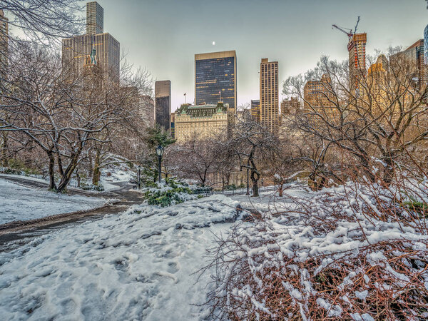 Central Park, Manhattan, New York City in winter after snow storm
