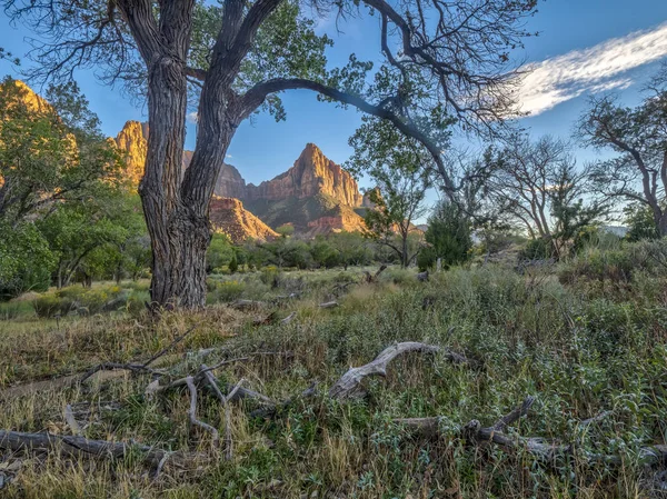 Zion National Park Parque Nacional Estadounidense Situado Suroeste Utah Cerca — Foto de Stock
