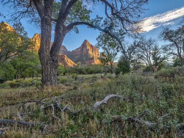 Parc National Zion Est Parc National Américain Situé Dans Sud — Photo