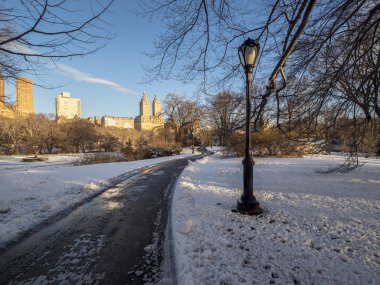 Central Park, Manhattan, New York City kış