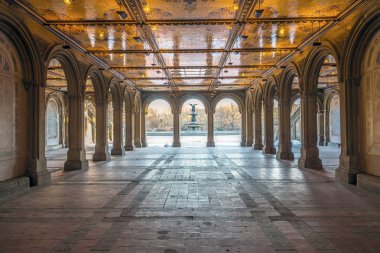 Bethesda Teras Central Park'a tünel kışın