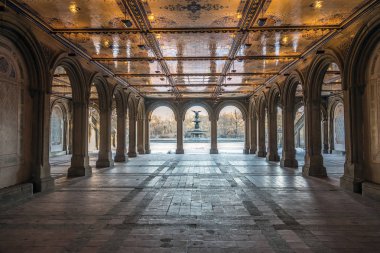 Bethesda Teras Central Park'a tünel kışın